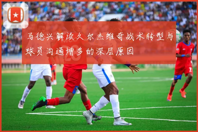 马德兴解读久尔杰维奇战术转型与球员沟通增多的深层原因